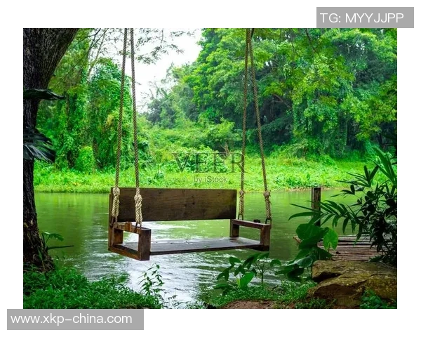 绿色森林与斯文登的生态对比与文化碰撞探讨