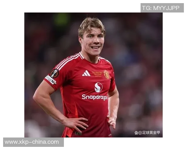 霍伊伦的传奇人生与时代变迁的深刻影响探讨